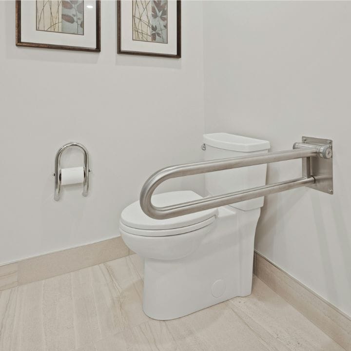 Toilet Rail Support